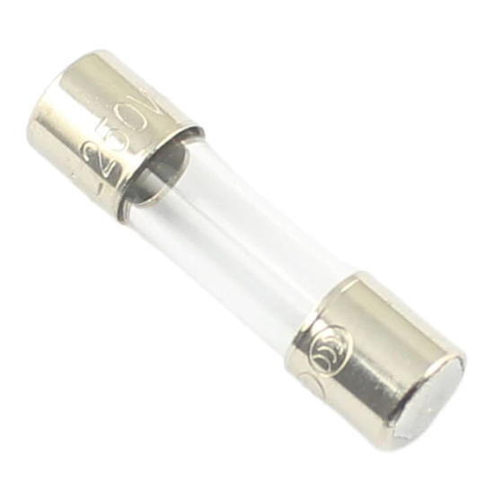 Regin Fuse 2A 20mm Glass