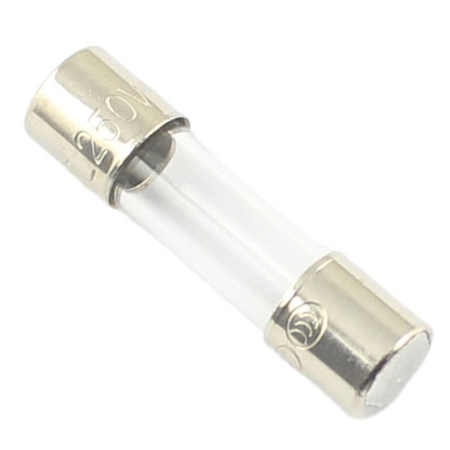 Regin Fuse 2A 20mm Glass
