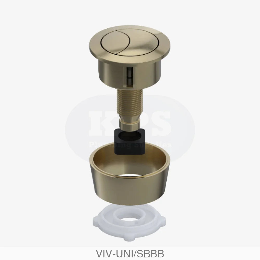 Skylo Brushed Brass Dual Flush Button Plumbing Spares
